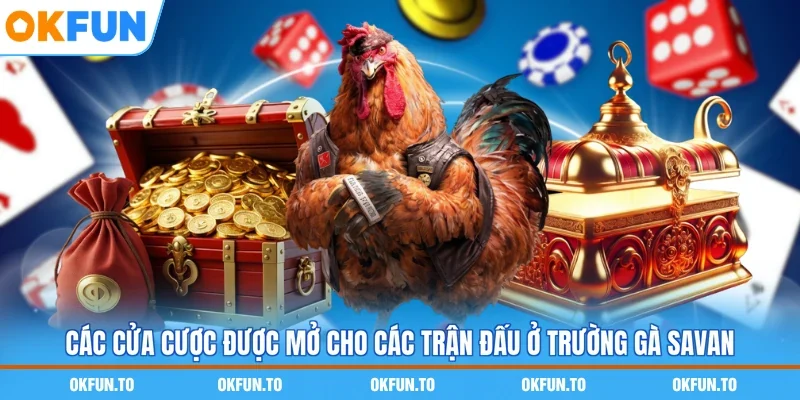 Những thông tin cơ bản cần nắm về trường gà Savan